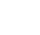 Shynh Academy